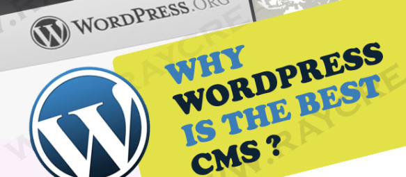 Why WordPress is the Best CMS Platform