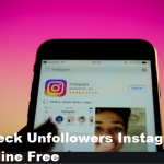 Check Unfollowers Instagram Online Free