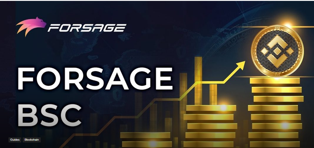 FORSAGE BUSD REVIEW