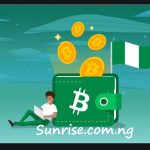 Best Cryptocurrency Wallet In Nigeria