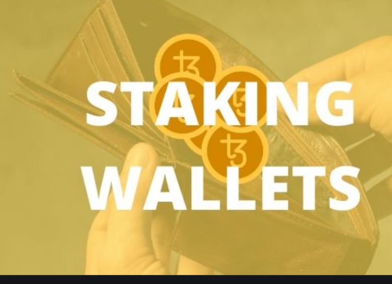 Best Crypto Staking Wallets