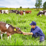 Farm jobs in the USA with Free Visa Sponsorship 2022