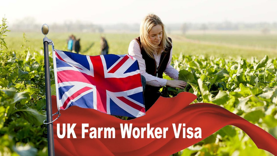UK Farm Working Visa Sponsorship Jobs 2023