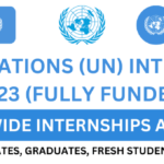 UN Internships 2023