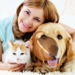 10 Most Common Pet Insurance Claims