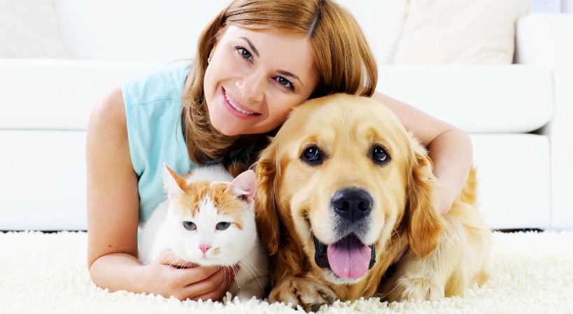 10 Most Common Pet Insurance Claims