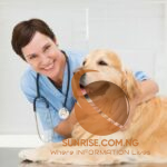 What Does Pet Insurance Cover and Not Cover
