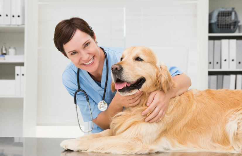 What Does Pet Insurance Cover and Not Cover