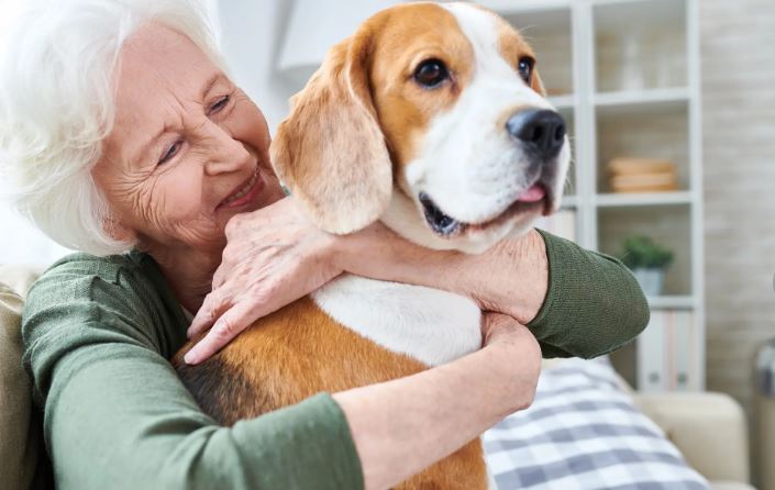 What Is the Best Age to Get Pet Insurance
