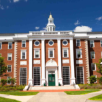 Harvard University Environmental Fellows Program 2024 | Apply Now