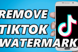 TikTok Watermark Removerer
